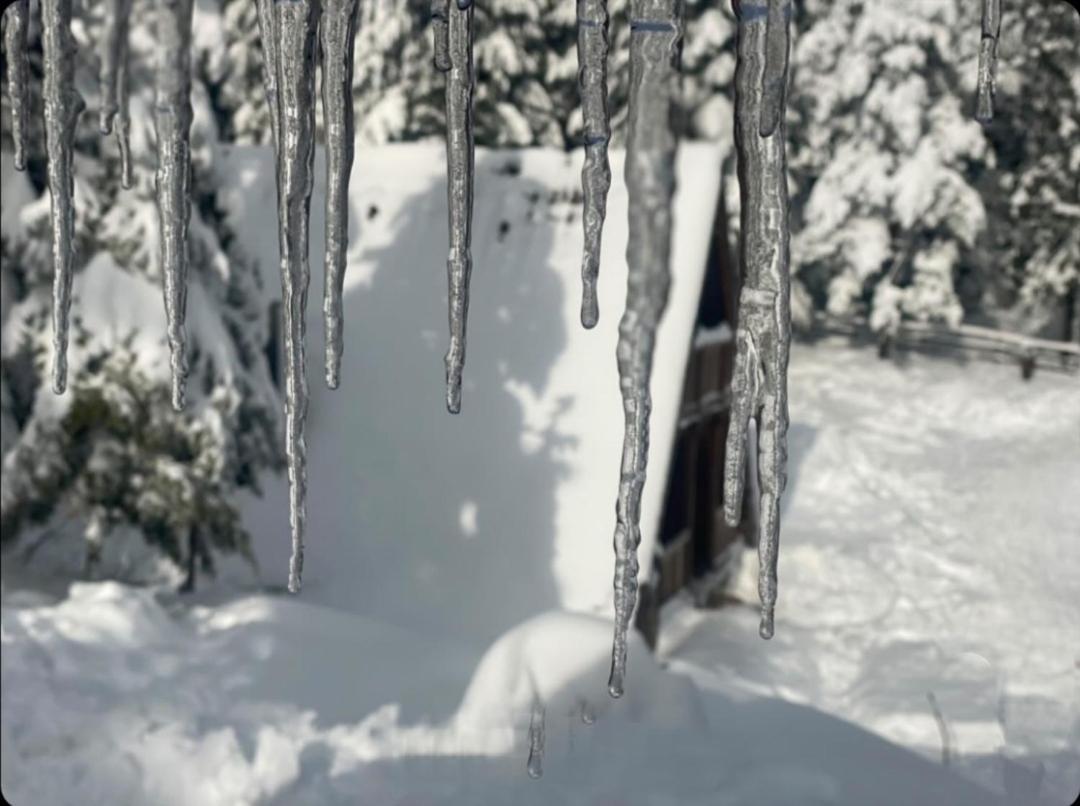 Vikendica Tarsko Srce S Villa Mitrovac Buitenkant foto