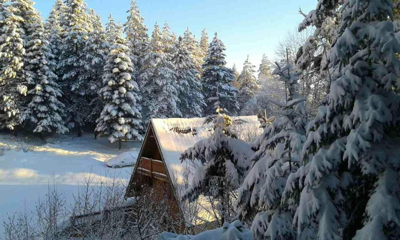 Vikendica Tarsko Srce S Villa Mitrovac Buitenkant foto